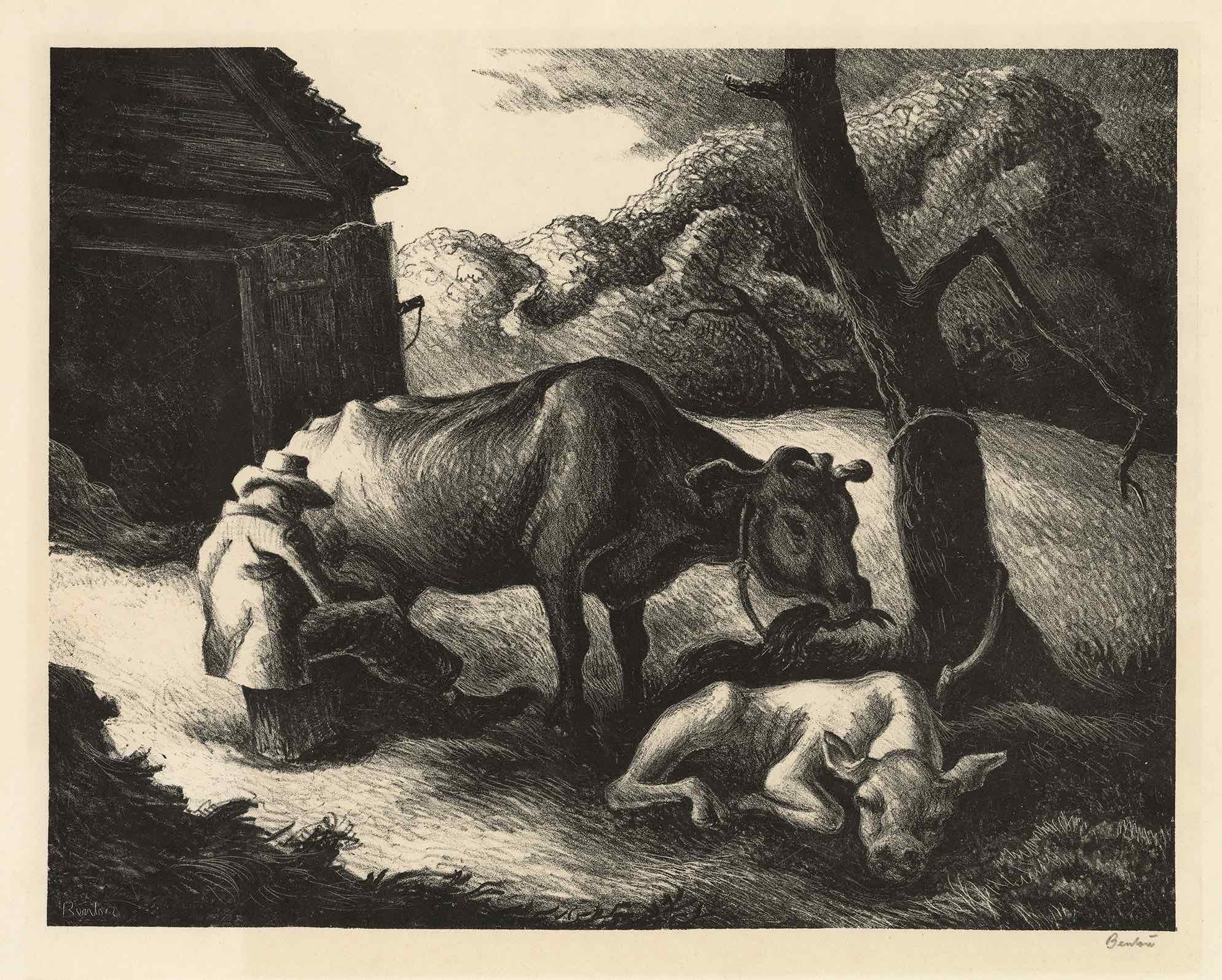 White Calf Lithograph by Thomas Hart Benton with signature- American Artwork